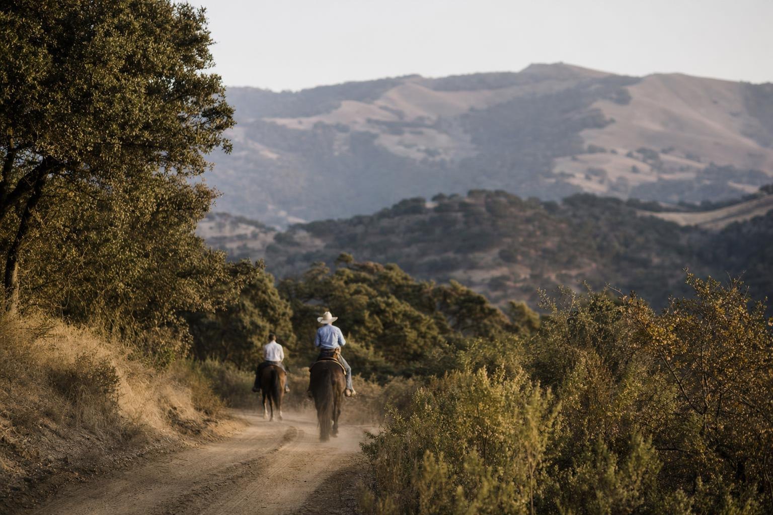 A dusty old stagecoach road winding through chaparral and oak hills, late light (AI-generated image)