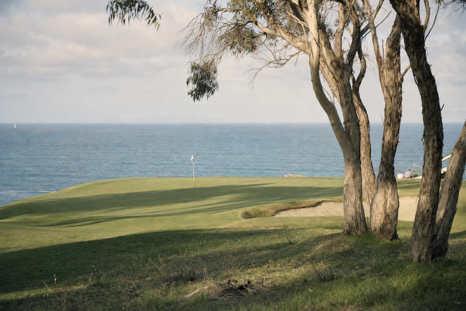 A green perched beside the ocean with a flag blowing in the sea breeze, eucalyptus trees (AI-generated image)